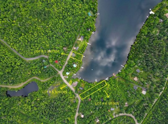 Ste-Marguerite-du-Lac-Masson (Laurentides) : Terre