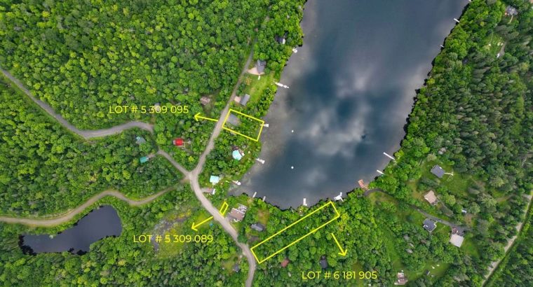 Ste-Marguerite-du-Lac-Masson (Laurentides) : Terre