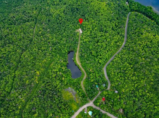 Ste-Marguerite-du-Lac-Masson (Laurentides) : Terre