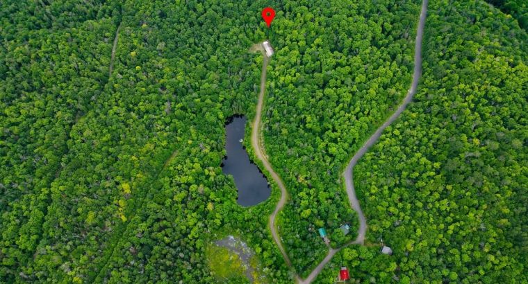 Ste-Marguerite-du-Lac-Masson (Laurentides) : Terre