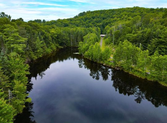 Ste-Marguerite-du-Lac-Masson (Laurentides) : Terre