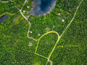 Ste-Marguerite-du-Lac-Masson (Laurentides):Terre