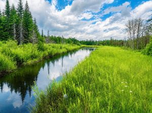 Milan (Estrie) : Terre à bois et chasse