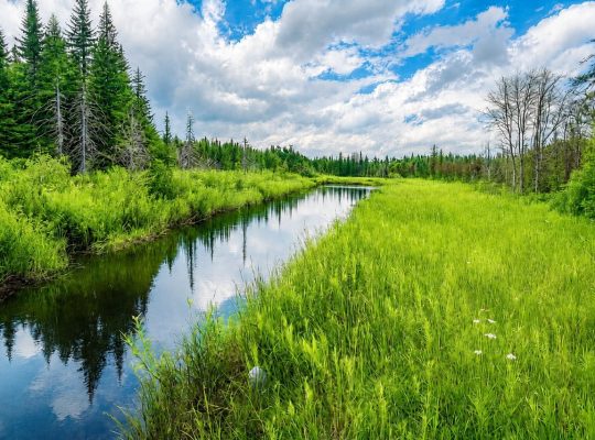 Milan (Estrie) : Terre à bois et chasse