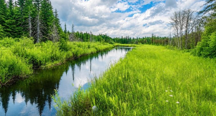 Milan (Estrie) : Terre à bois et chasse