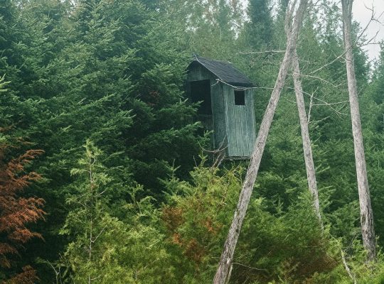 Milan (Estrie) : Terre à bois et chasse