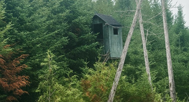Milan (Estrie) : Terre à bois et chasse
