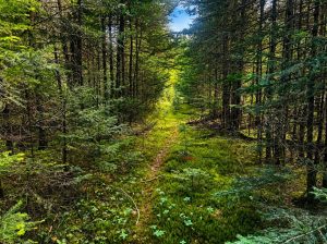 Val-des-Lacs Laurentide terre droit de constr.