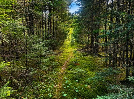 Val-des-Lacs Laurentide terre droit de constr.