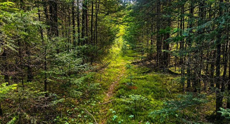 Val-des-Lacs Laurentide terre droit de constr.