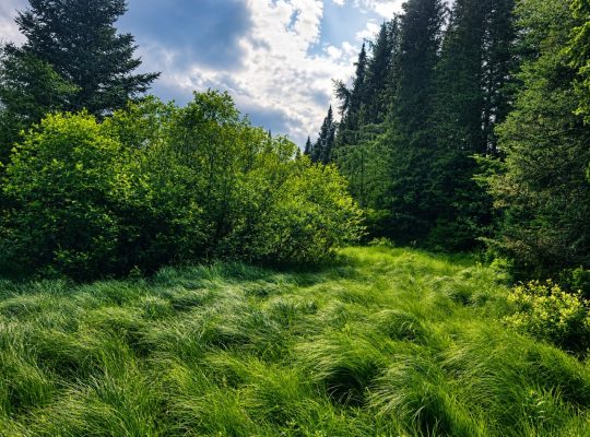 Val-des-Lacs Laurentide terre droit de constr.