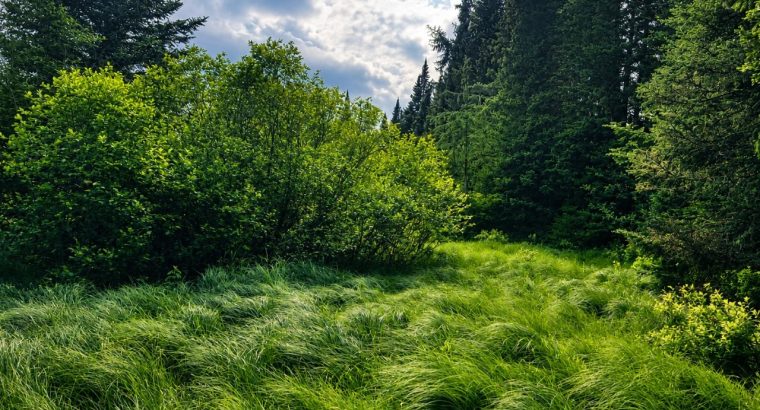 Val-des-Lacs Laurentide terre droit de constr.