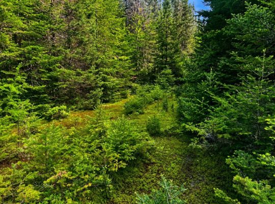 Val-des-Lacs Laurentide terre droit de constr.