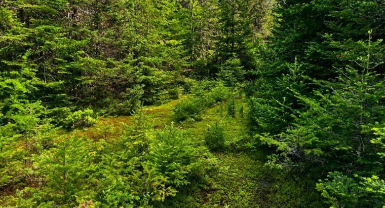 Val-des-Lacs Laurentide terre droit de constr.