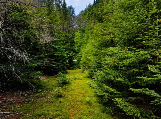 Val-des-Lacs Laurentide terre droit de constr.