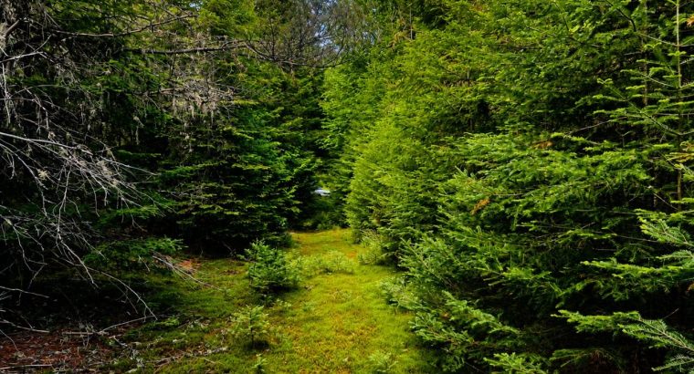 Val-des-Lacs Laurentide terre droit de constr.