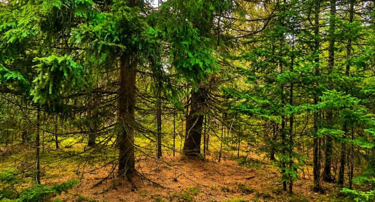Val-des-Lacs Laurentide terre droit de constr.
