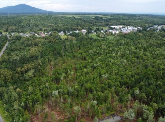 Nantes (Estrie) : Terre à bois 42 acres, forêt mix
