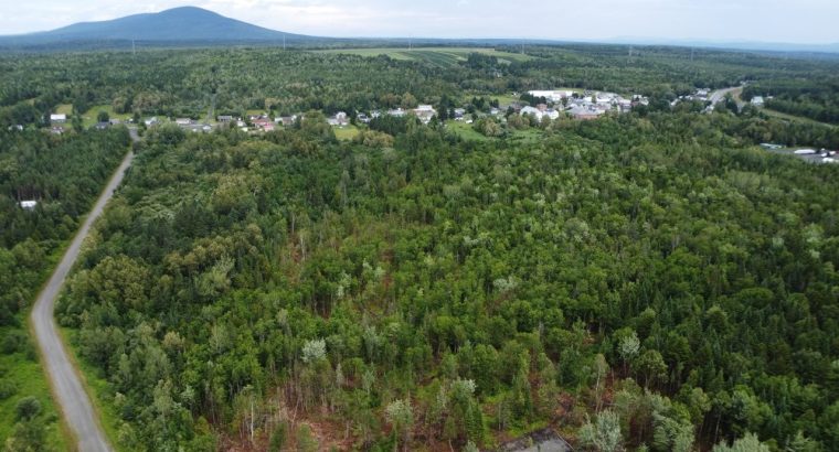 Nantes (Estrie) : Terre à bois 42 acres, forêt mix