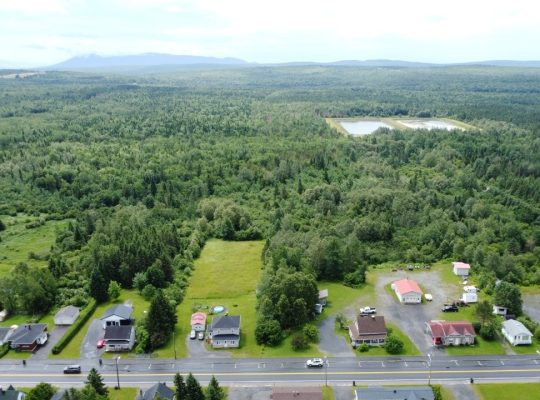 Nantes (Estrie) : Terre à bois 42 acres, forêt mix