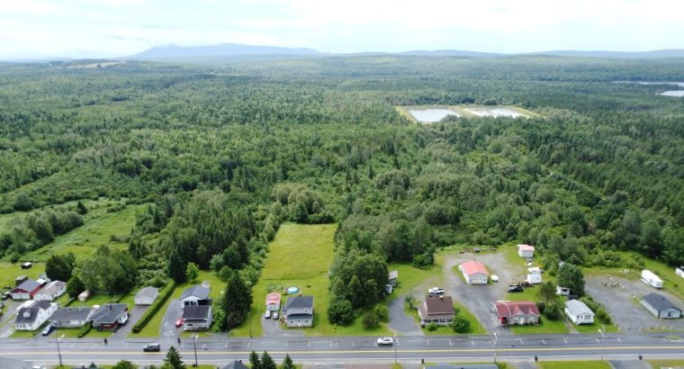 Nantes (Estrie) : Terre à bois 42 acres, forêt mix