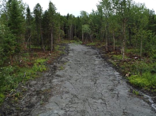 Nantes (Estrie) : Terre à bois 42 acres, forêt mix