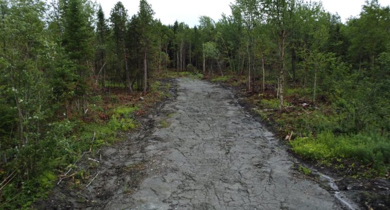 Nantes (Estrie) : Terre à bois 42 acres, forêt mix