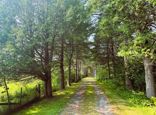 Racine (Estrie) : Domaine – maison bigénérationnel