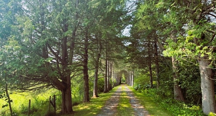 Racine (Estrie) : Domaine – maison bigénérationnel
