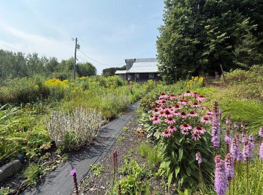 Racine (Estrie) : Domaine – maison bigénérationnel