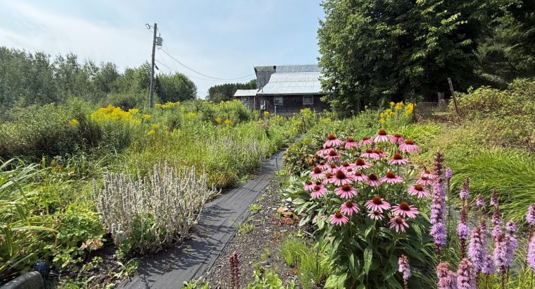 Racine (Estrie) : Domaine – maison bigénérationnel