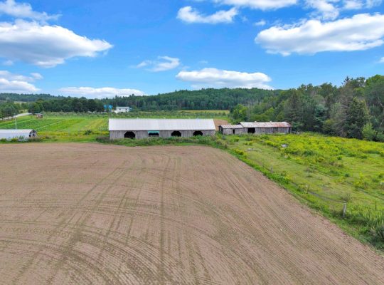 Bouchette (outaouais) Ferme 1 960 acr. troupeau