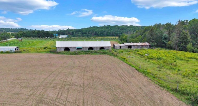 Bouchette (outaouais) Ferme 1 960 acr. troupeau