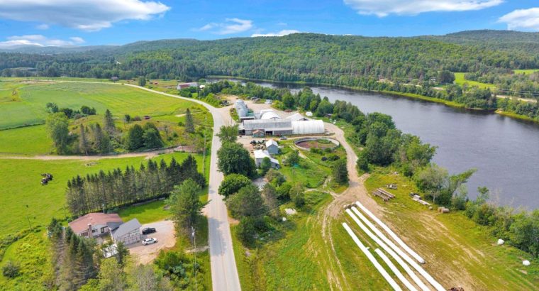 Bouchette (outaouais) Ferme 1 960 acr. troupeau