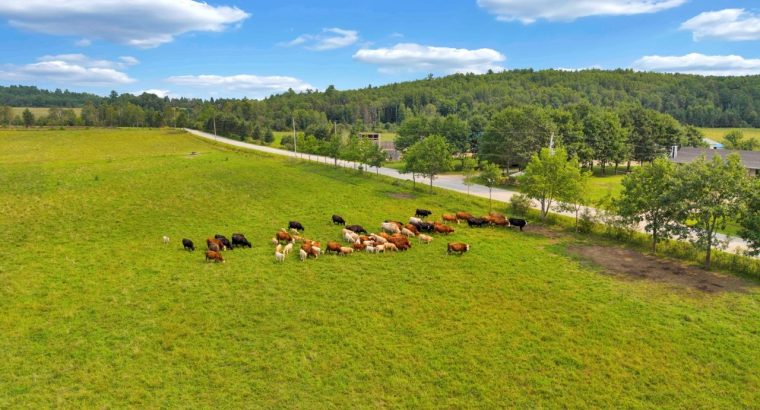 Bouchette (outaouais) Ferme 1 960 acr. troupeau