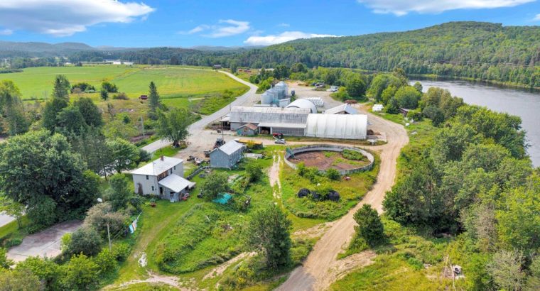 Bouchette (outaouais) Ferme 1 960 acr. troupeau