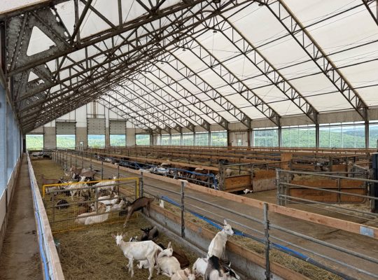St-Camille : Ferme de chèvres laitières 158 acres