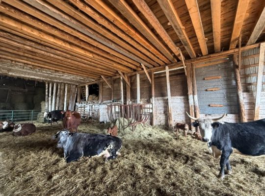 St-Camille (Estrie) : Ferme 208acr – 105 acr cult.
