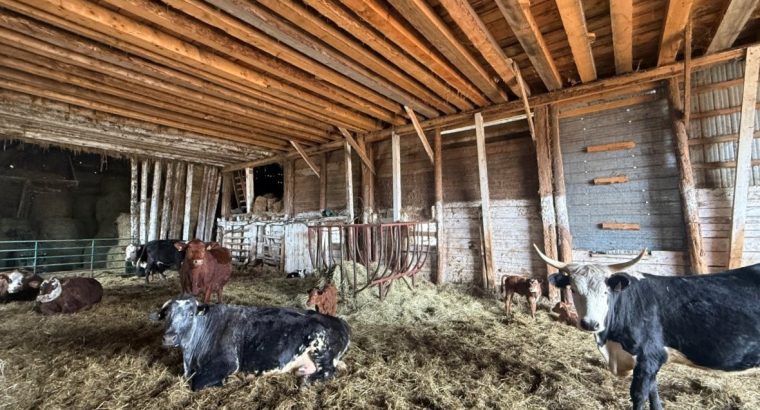St-Camille (Estrie) : Ferme 208acr – 105 acr cult.