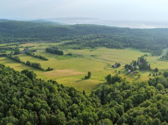 Ste-Catherine-de-Hatley (Estrie) : Domaine 133 acr