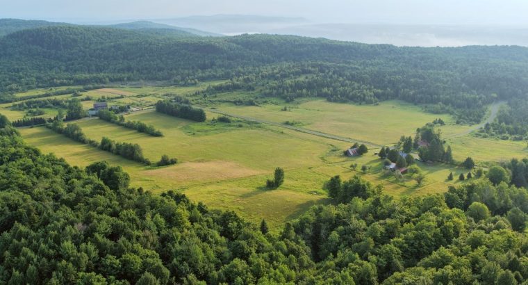 Ste-Catherine-de-Hatley (Estrie) : Domaine 133 acr