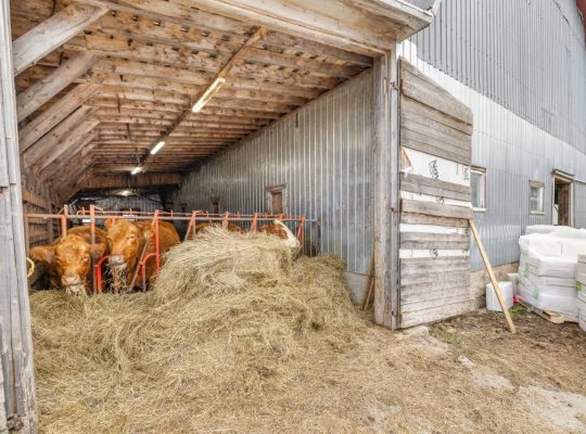 Armagh (Chaudière-Appalaches) : Ferme 148, 26 acr