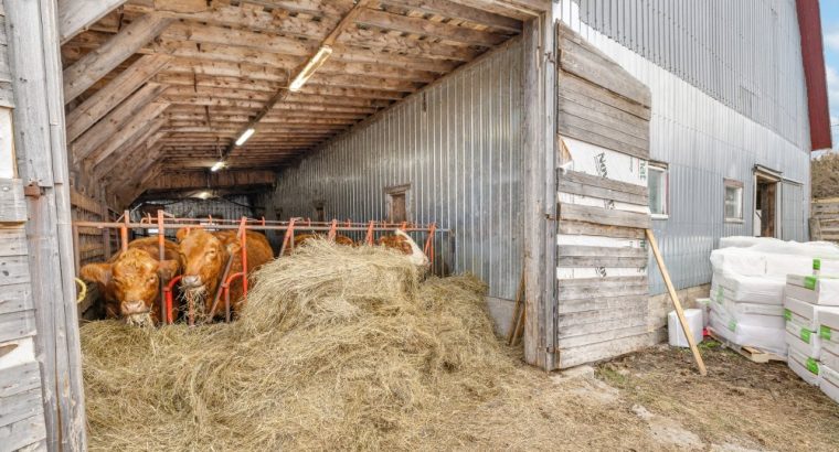 Armagh (Chaudière-Appalaches) : Ferme 148, 26 acr