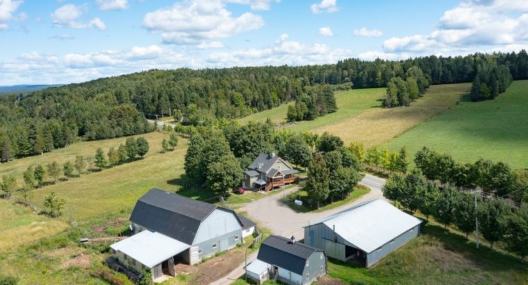 Armagh (Chaudière-Appalaches) : Ferme 148, 26 acr