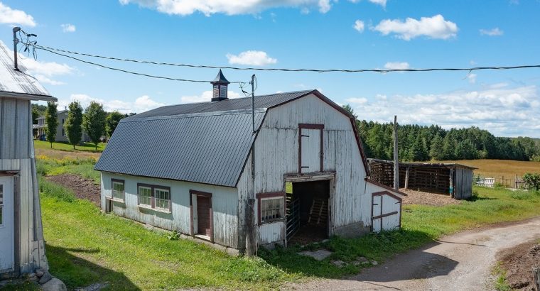 Armagh (Chaudière-Appalaches) : Ferme 148, 26 acr
