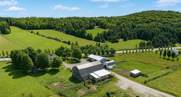 Armagh (Chaudière-Appalaches) : Ferme 148, 26 acr