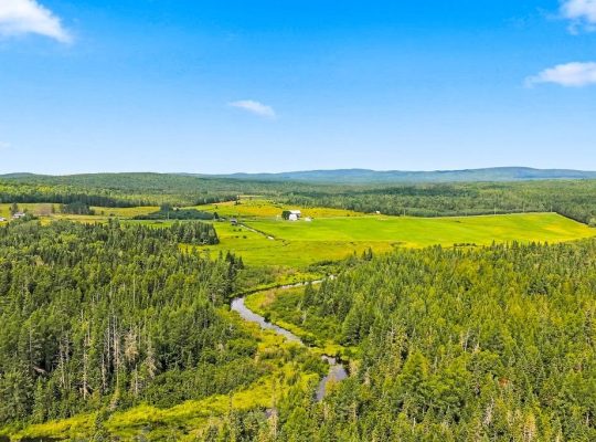St-Adrien (Estrie) : Fermette 192 acr. maison 4 ch