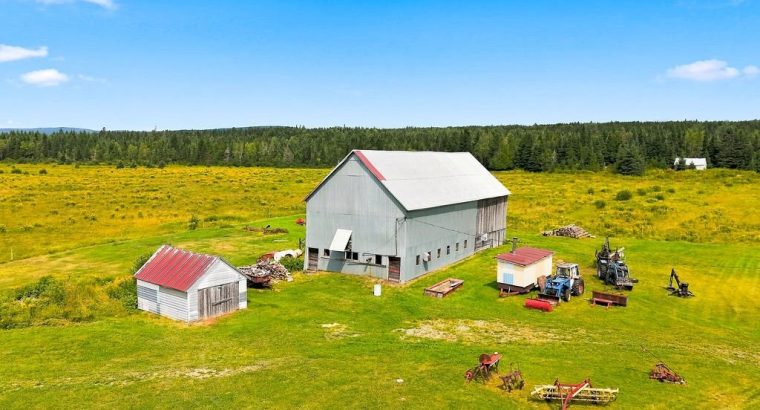 St-Adrien (Estrie) : Fermette 192 acr. maison 4 ch