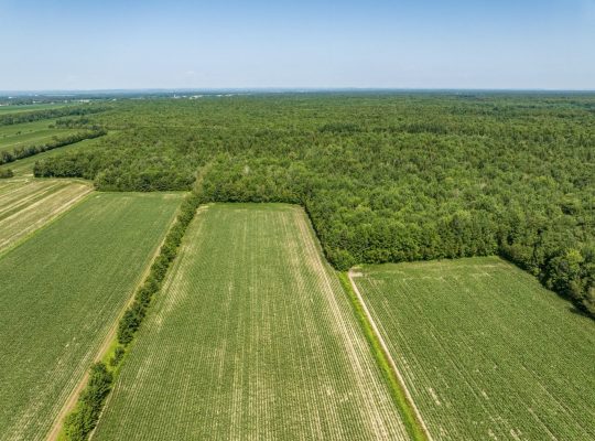 Trois-Rivières : Ferme Maison de campagne 73 acr