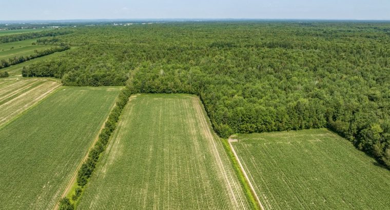 Trois-Rivières : Ferme Maison de campagne 73 acr